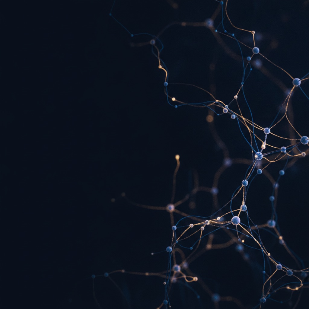 Creatine and the Brain: How the Energy System Works